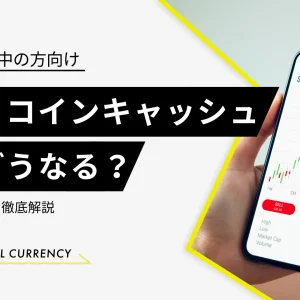 仮想通貨ビットコインキャッシュ（BCH）に将来性はある？今後を予想