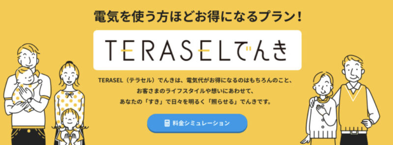teraselでんき