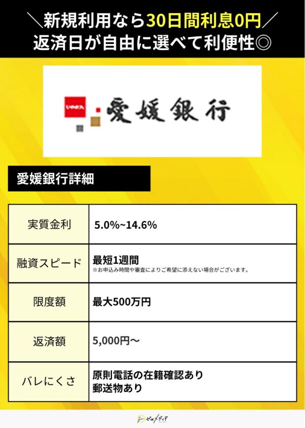 専業主婦　カードローン 　ひめぎん