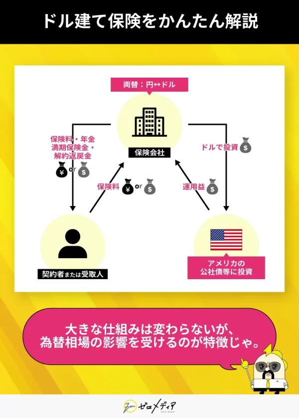 ドル建て保険をかんたん解説