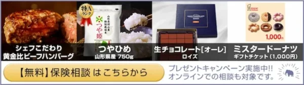 保険マンモス プレゼント